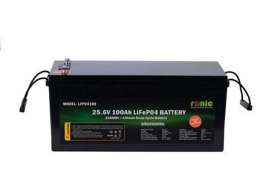 Baterie/Acumulator LiFePO4, 25.6V 100Ah, model LFP24100