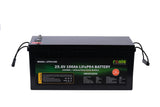 Baterie/Acumulator LiFePO4, 25.6V 100Ah, model LFP24100
