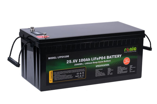 Baterie/Acumulator LiFePO4, 25.6V 100Ah, model LFP24100