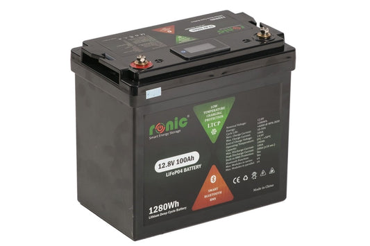 Baterie/Acumulator LiFePO4, 12.8V 100Ah, functie Bluetooth si LTCP, model LFP12100SDHY MINI COMPACT